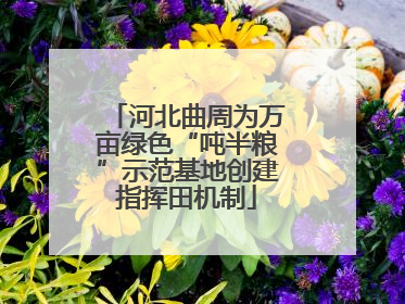河北曲周为万亩绿色“吨半粮”示范基地创建指挥田机制