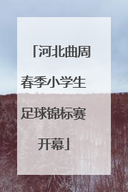河北曲周春季小学生足球锦标赛开幕