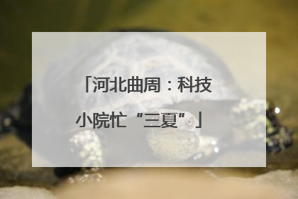 河北曲周：科技小院忙“三夏”