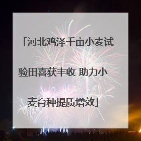 河北鸡泽千亩小麦试验田喜获丰收 助力小麦育种提质增效