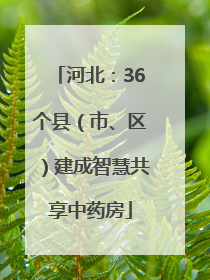 河北：36个县（市、区）建成智慧共享中药房
