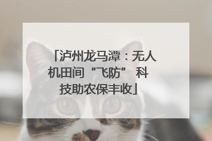 泸州龙马潭：无人机田间“飞防” 科技助农保丰收