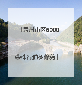 泉州市区6000余株行道树修剪