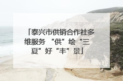 泰兴市供销合作社多维服务 “供”绘“三夏”好“丰”景