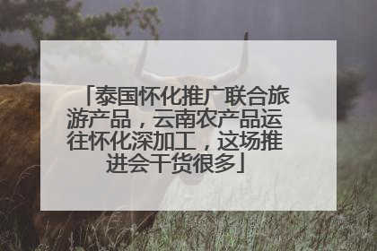 泰国怀化推广联合旅游产品，云南农产品运往怀化深加工，这场推进会干货很多