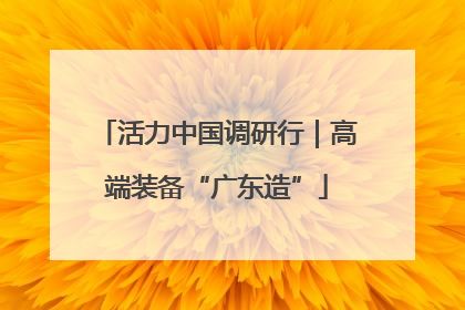 活力中国调研行｜高端装备“广东造”