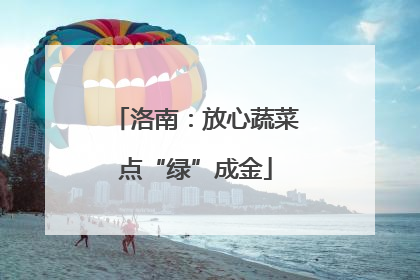 洛南：放心蔬菜点“绿”成金