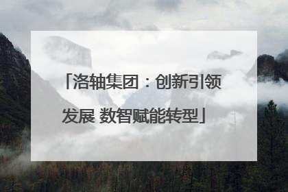 洛轴集团：创新引领发展 数智赋能转型
