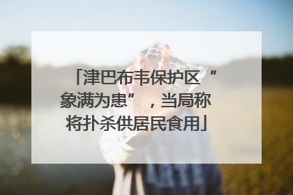 津巴布韦保护区“象满为患”，当局称将扑杀供居民食用