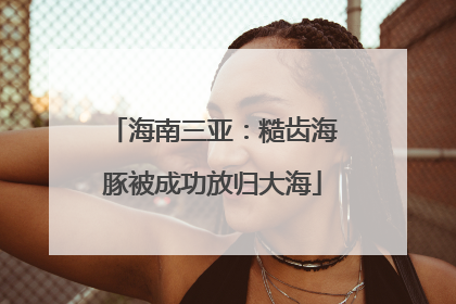 海南三亚：糙齿海豚被成功放归大海