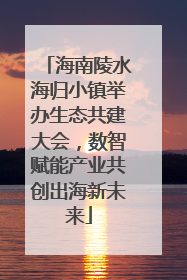海南陵水海归小镇举办生态共建大会，数智赋能产业共创出海新未来