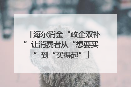 海尔消金“政企双补”让消费者从“想要买”到“买得起”