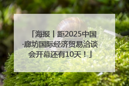 海报丨距2025中国·廊坊国际经济贸易洽谈会开幕还有10天！