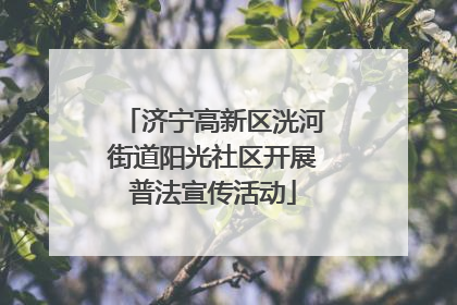济宁高新区洸河街道阳光社区开展普法宣传活动