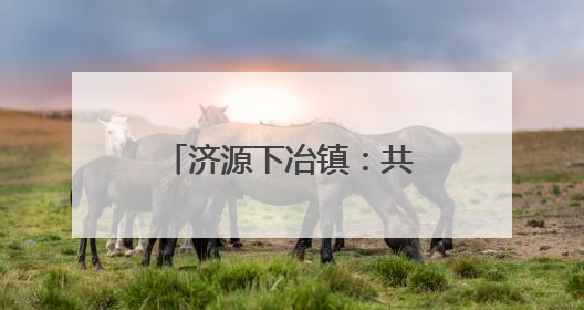 济源下冶镇：共叙乡情谋发展，凝心聚力谱新篇