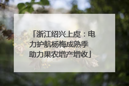 浙江绍兴上虞：电力护航杨梅成熟季 助力果农增产增收