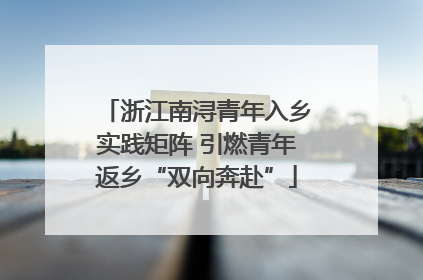 浙江南浔青年入乡实践矩阵 引燃青年返乡“双向奔赴”