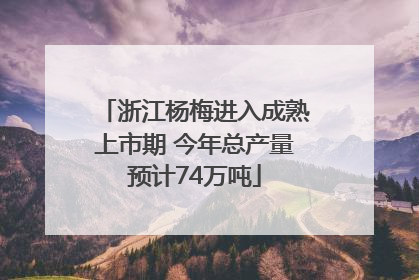 浙江杨梅进入成熟上市期 今年总产量预计74万吨