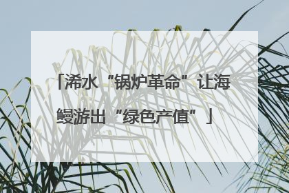 浠水“锅炉革命”让海鳗游出“绿色产值”