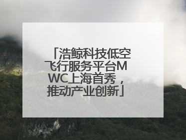 浩鲸科技低空飞行服务平台MWC上海首秀，推动产业创新