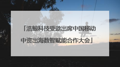 浩鲸科技受邀出席中国移动中资出海数智赋能合作大会