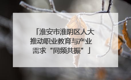 淮安市淮阴区人大推动职业教育与产业需求“同频共振”