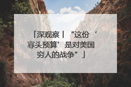 深观察丨“这份‘寡头预算’是对美国穷人的战争”