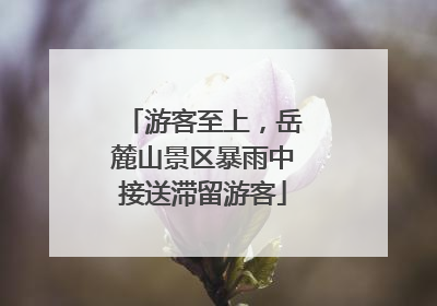 游客至上，岳麓山景区暴雨中接送滞留游客
