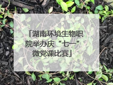 湖南环境生物职院举办庆“七一”微党课比赛