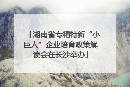 湖南省专精特新“小巨人”企业培育政策解读会在长沙举办