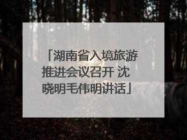 湖南省入境旅游推进会议召开 沈晓明毛伟明讲话