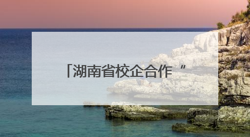 湖南省校企合作“双进双转”工作推进会在衡阳召开