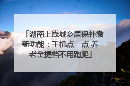 湖南上线城乡居保补缴新功能：手机点一点 养老金提档不用跑腿