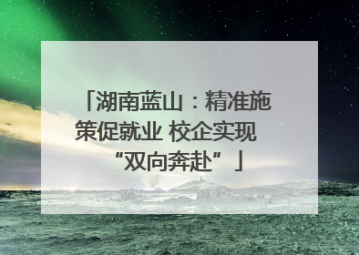 湖南蓝山：精准施策促就业 校企实现“双向奔赴”