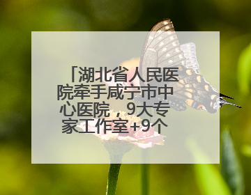 湖北省人民医院牵手咸宁市中心医院，9大专家工作室+9个专科联盟筑牢区域医疗网