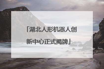 湖北人形机器人创新中心正式揭牌