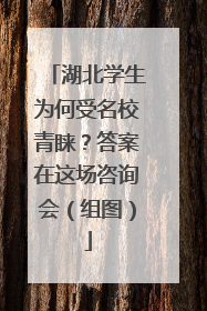 湖北学生为何受名校青睐？答案在这场咨询会（组图）