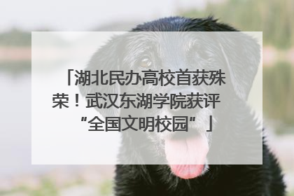 湖北民办高校首获殊荣！武汉东湖学院获评“全国文明校园”