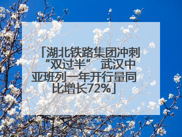 湖北铁路集团冲刺“双过半” 武汉中亚班列一年开行量同比增长72%