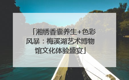 湘绣香囊养生+色彩风暴：梅溪湖艺术博物馆文化体验盛宴