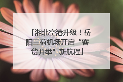 湘北空港升级！岳阳三荷机场开启“客货并举”新航程