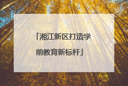 湘江新区打造学前教育新标杆