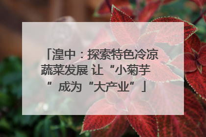 湟中：探索特色冷凉蔬菜发展 让“小菊芋”成为“大产业”