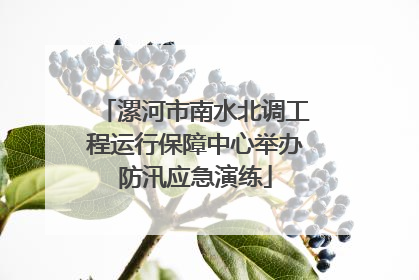 漯河市南水北调工程运行保障中心举办防汛应急演练