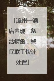漳州一酒店内现一条活鳄鱼，警民联手快速处置