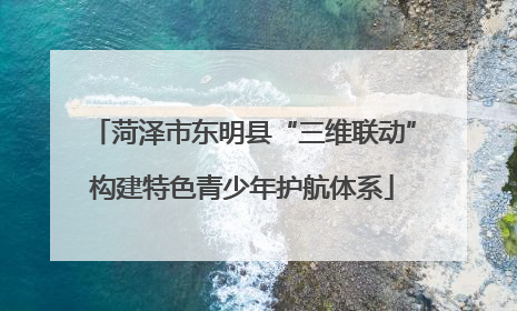 菏泽市东明县“三维联动”构建特色青少年护航体系