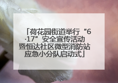 荷花园街道举行“6·17”安全宣传活动暨恒达社区微型消防站应急小分队启动式