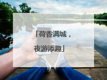 荷香满城，夜游添趣