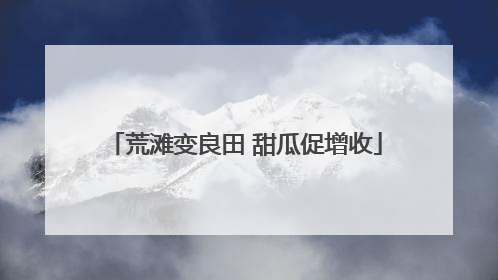 荒滩变良田 甜瓜促增收