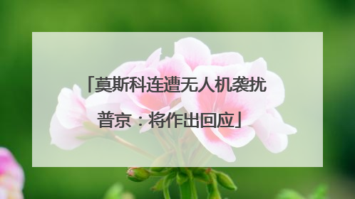 莫斯科连遭无人机袭扰 普京：将作出回应